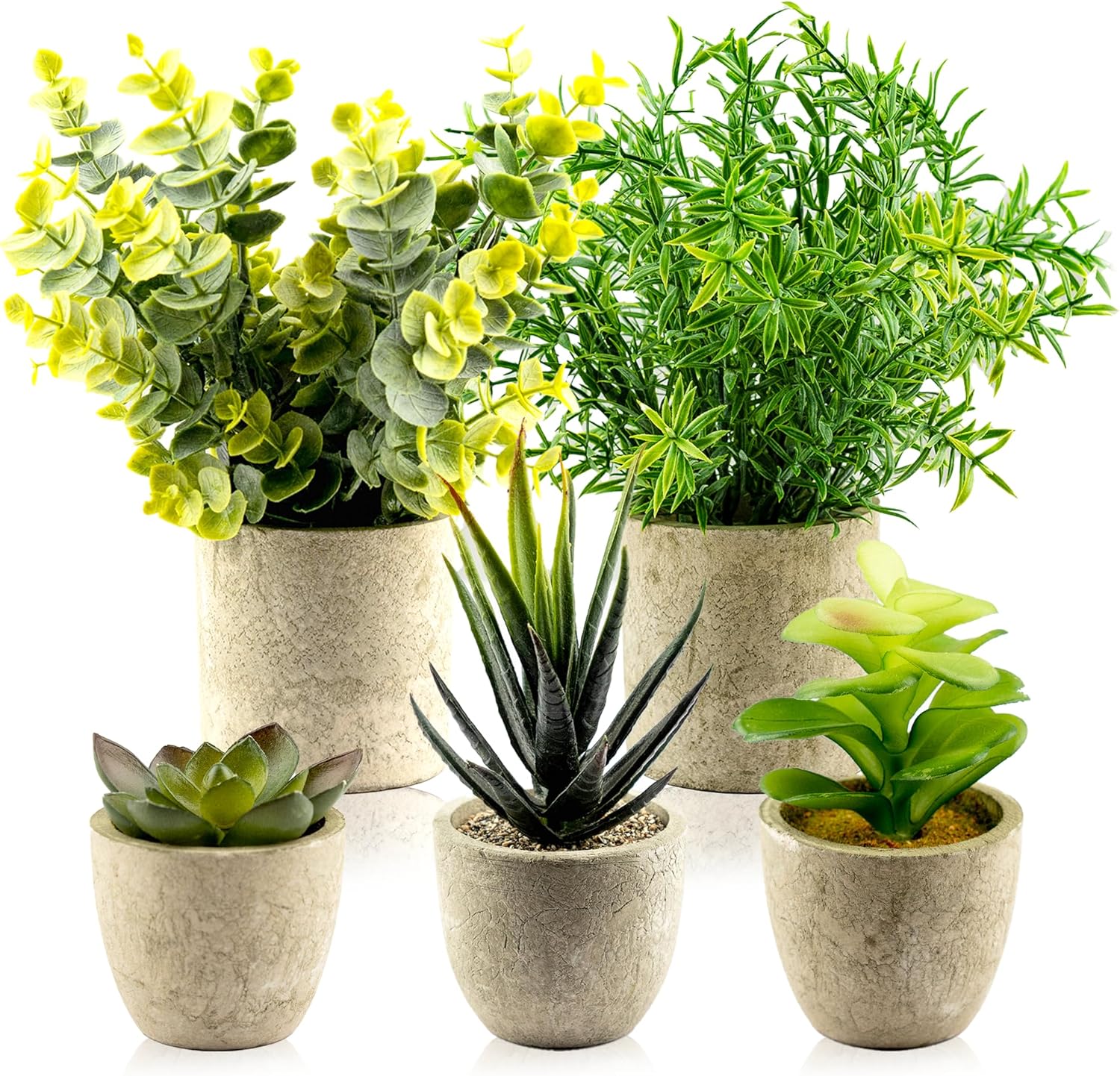 Ensemble de 5 plantes artificielles décoratives en pot - Petites plantes d'intérieur en plastique avec pot - Eucalyptus, romarin, succulentes, mini plantes artificielles pour la décoration murale, de bureau ou de chambre